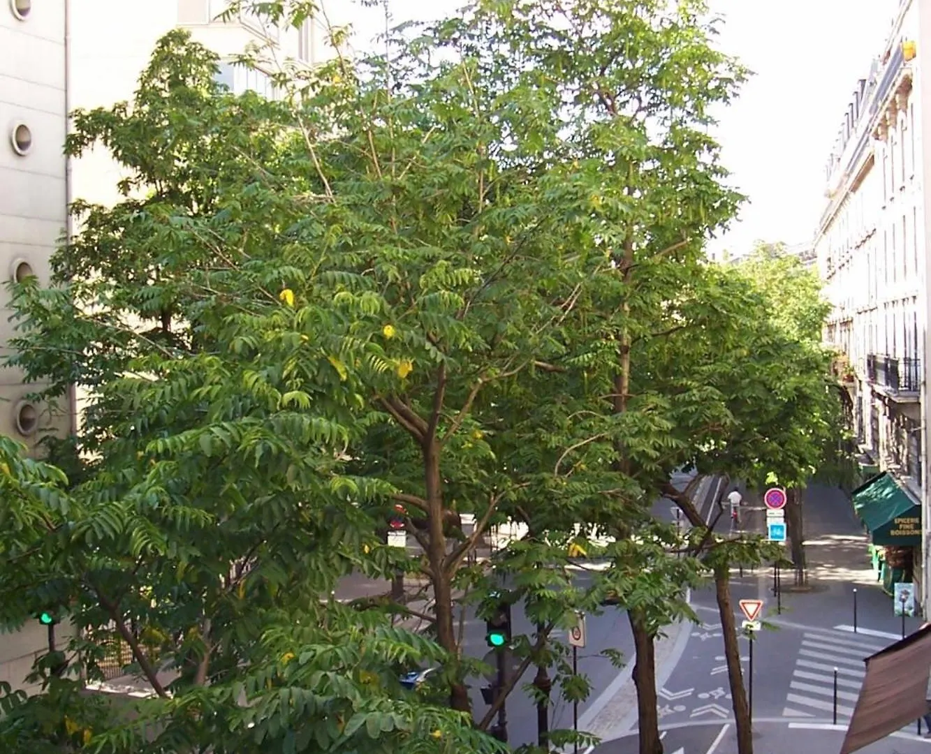 Proche De La Seine * Paris